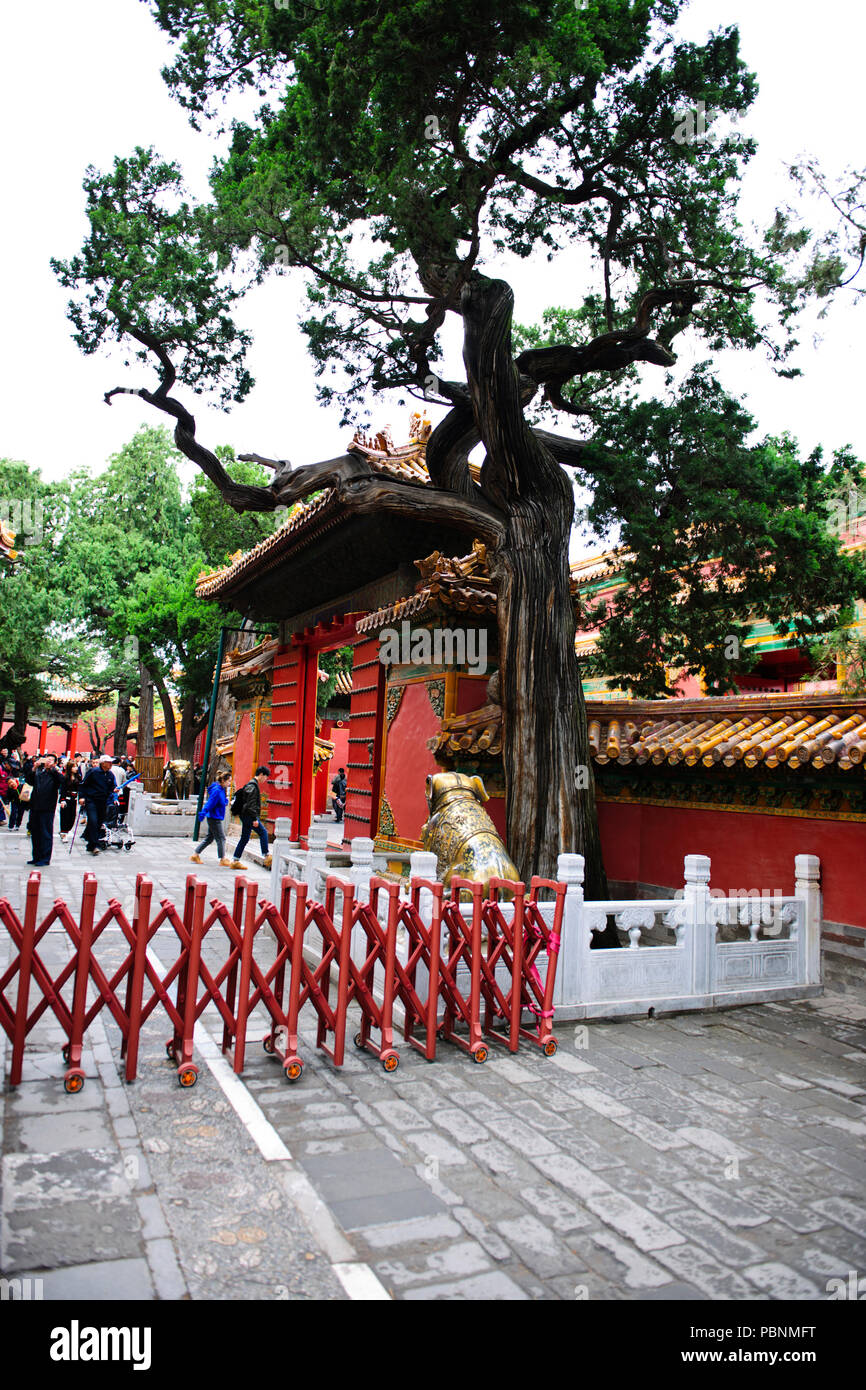 Verbotene Stadt, Palace Museum, (gugong), dem Platz des Himmlischen Friedens, Peking, Republik People's China, VR China, China Stockfoto