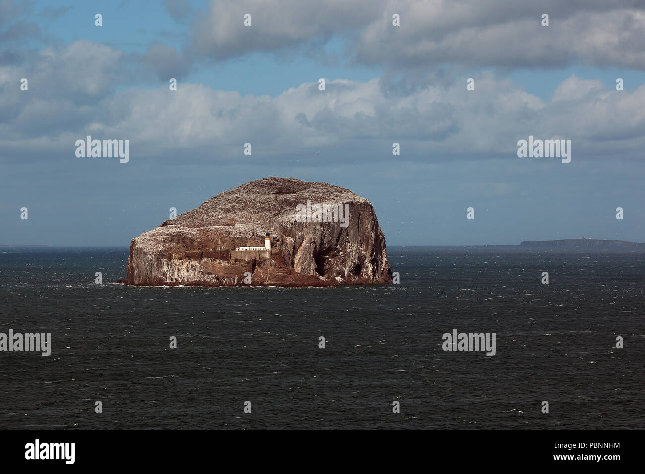 Der Bass Rock und Leuchtturm Stockfoto