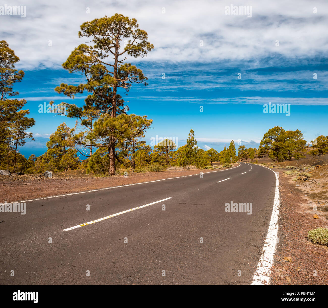 Straße in der vulkanischen Wüste Tenerife, Canary. Asphalt und weiße Linie auf Straße Stockfoto