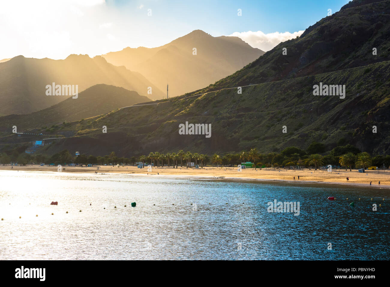 Warmer Sand und Palmen am Strand Playa de Las Teresitas Strand, Teneriffa Stockfoto
