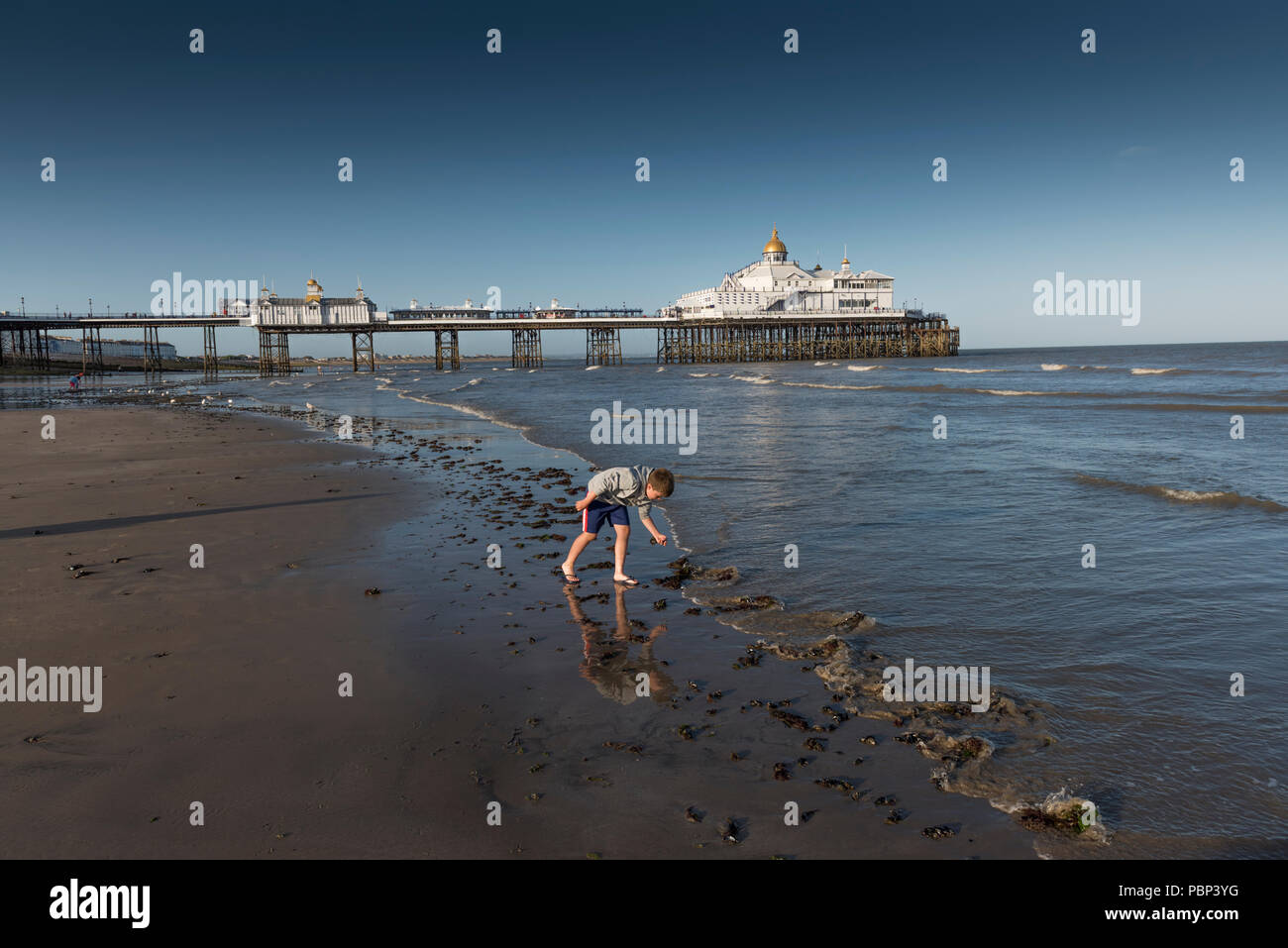 Ebbe in Eastbourne, an der Südküste von England, East Sussex, Großbritannien Stockfoto