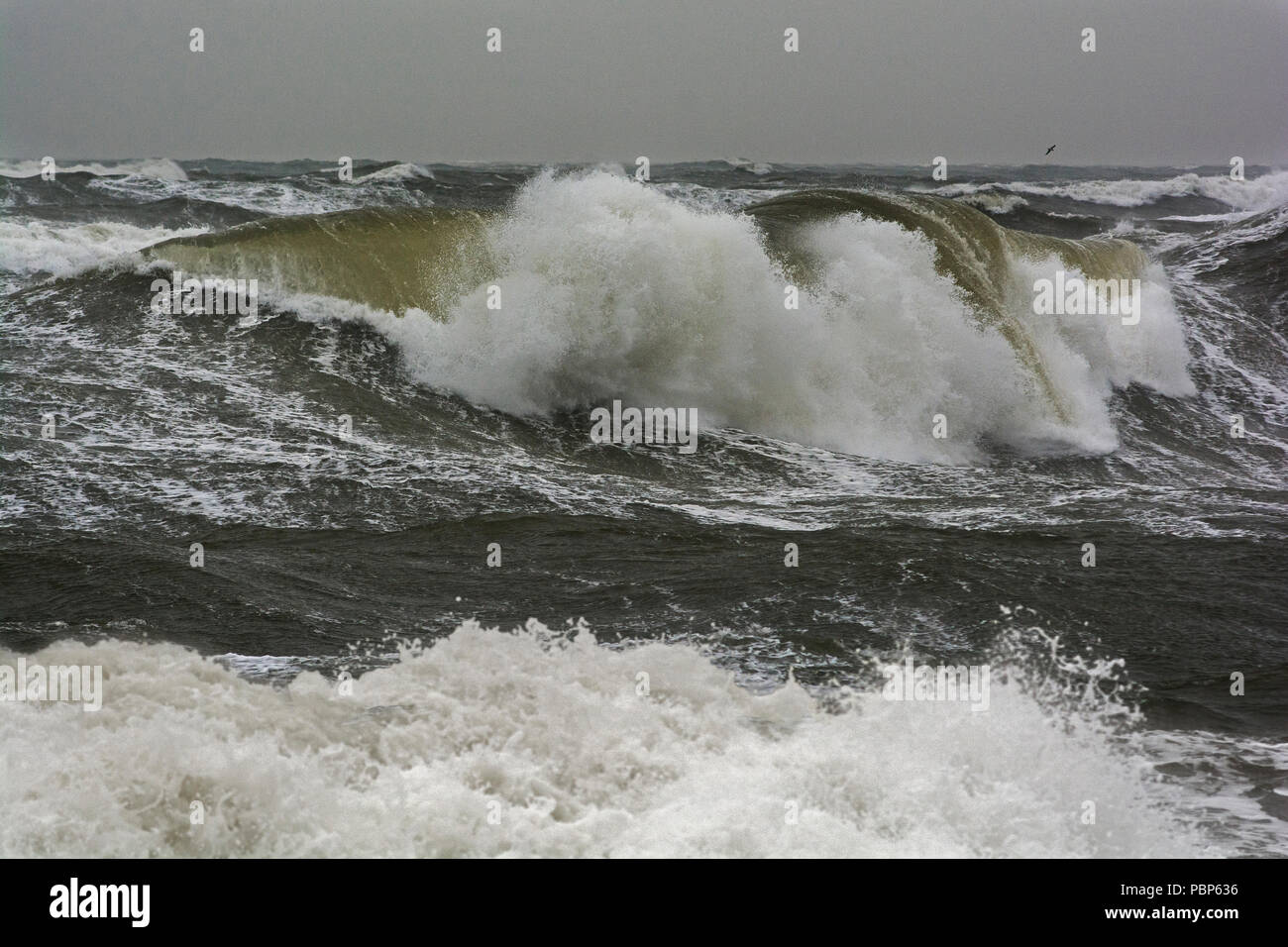 Hohe wellen Fotos und Bildmaterial in hoher Auflösung Alamy