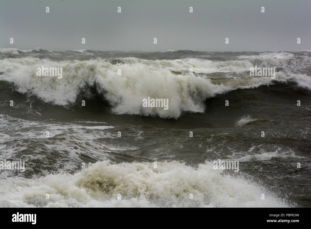 Hohe Wellen und stürmischer See aus Berwick Strand, Northumberland Stockfoto
