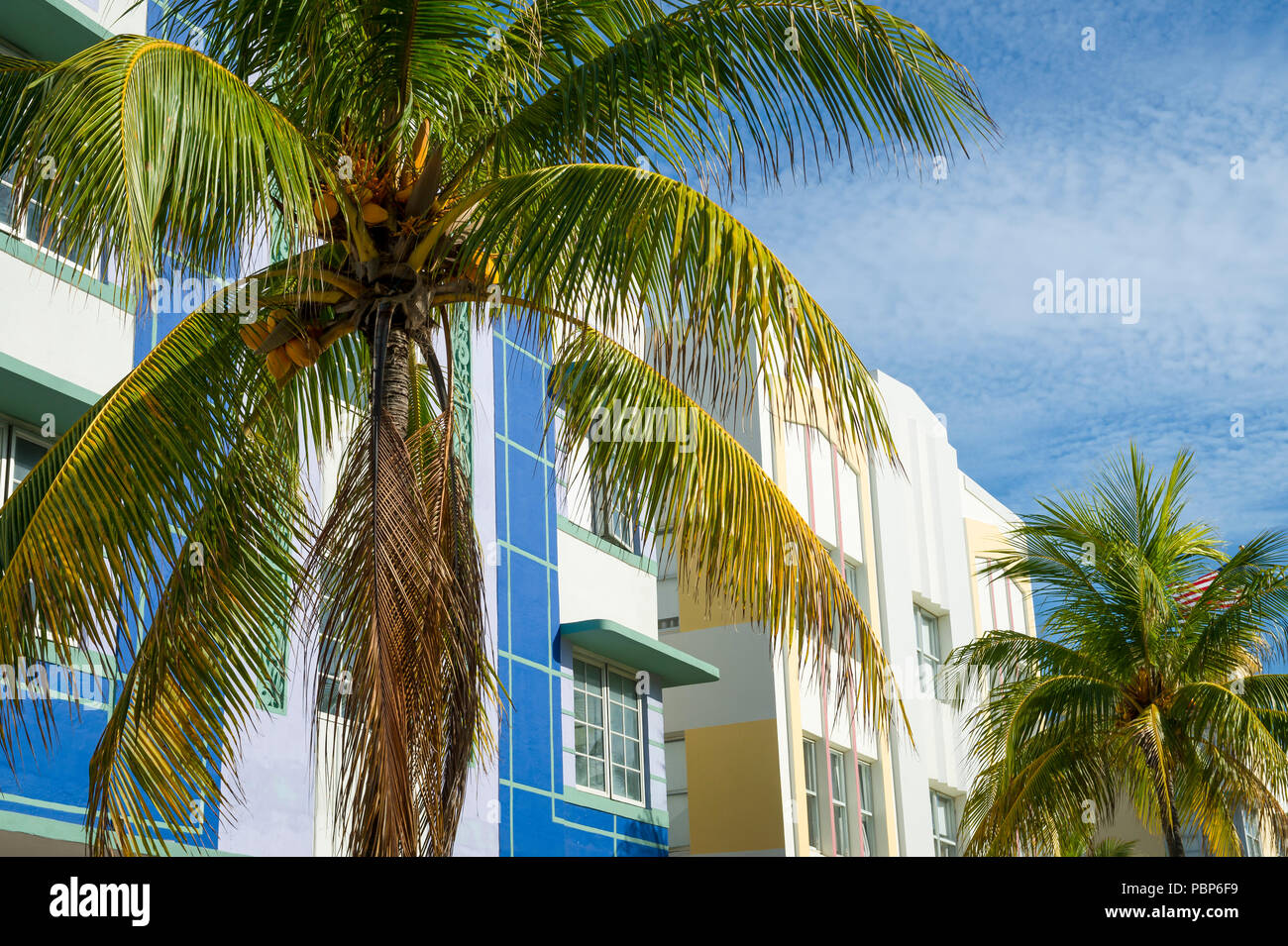 Typische bunte Art Deco Architektur mit Palme in South Beach, Miami, Florida Stockfoto