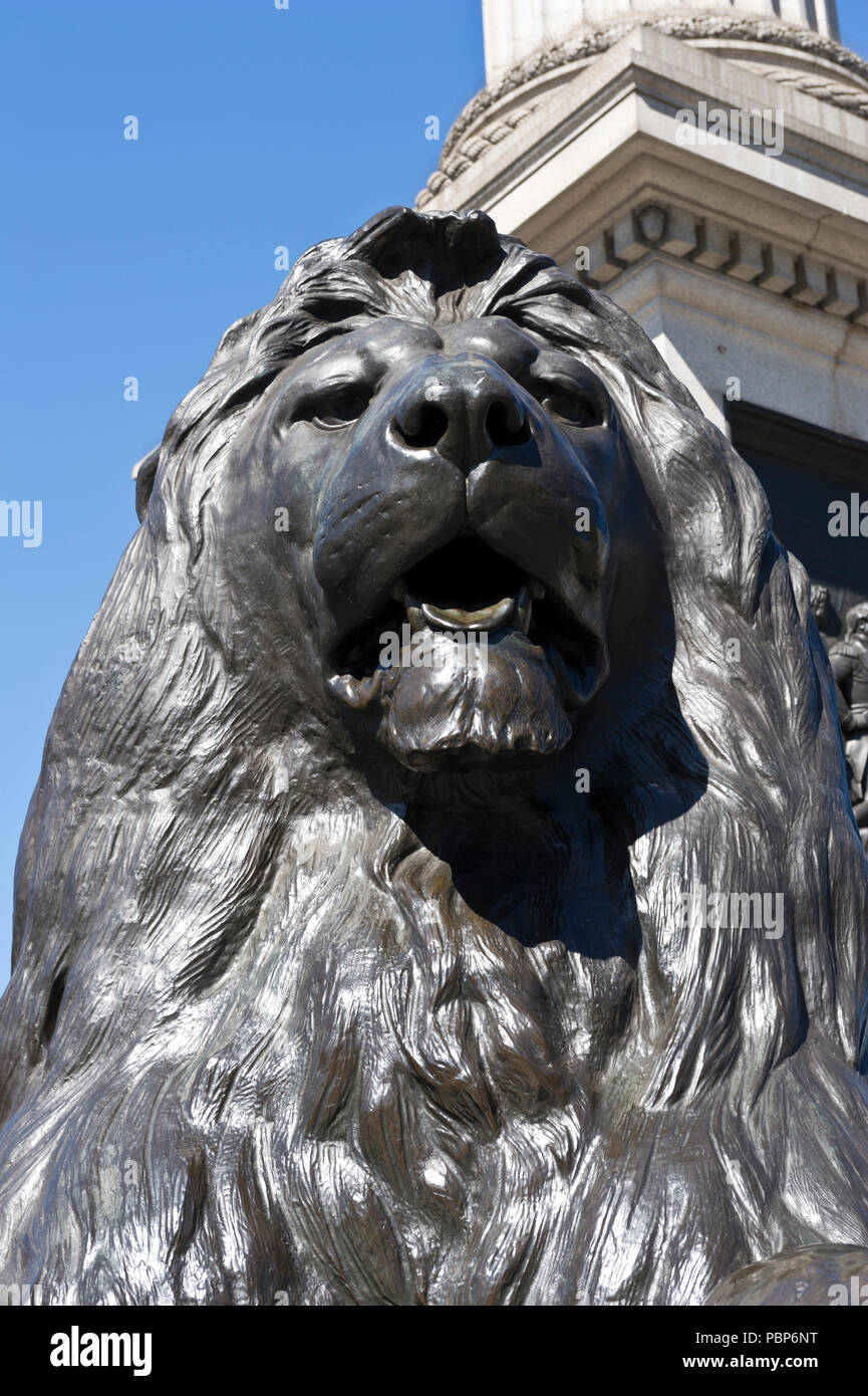 Ein riesiger Löwe Statue auf dem Trafalgar Square, London, Vereinigtes Königreich Stockfoto