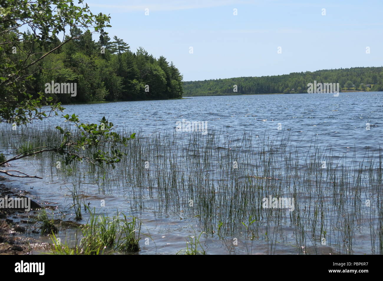 Lochiel Lake Provincial Park bietet Picknicktische im Holz und einen geschützten Ort zu Fuß am See zu genießen, Wanderwege, Bootfahren und Schwimmen Stockfoto