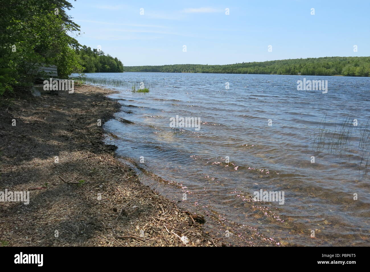 Lochiel Lake Provincial Park bietet Picknicktische im Holz und einen geschützten Ort zu Fuß am See zu genießen, Wanderwege, Bootfahren und Schwimmen Stockfoto