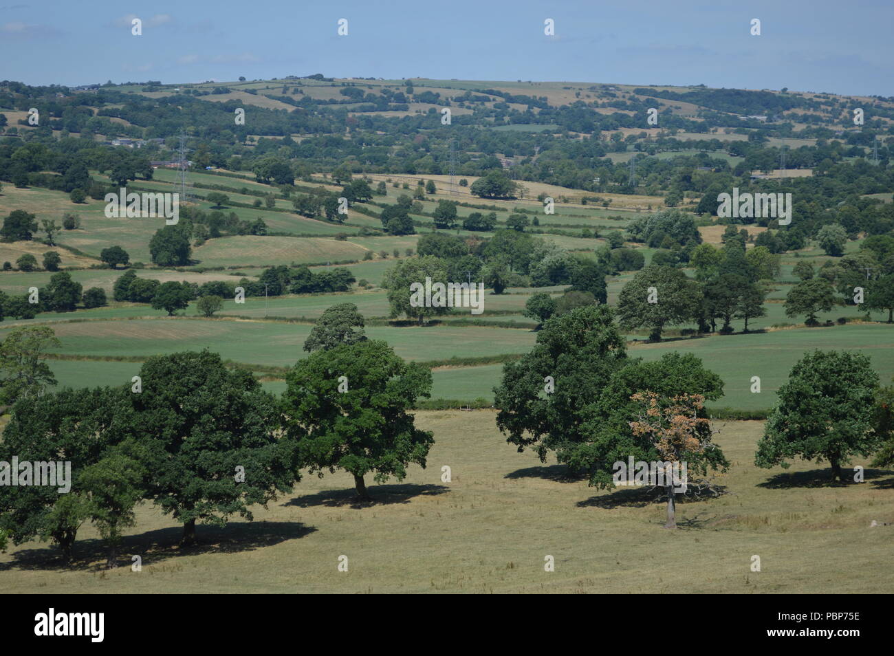 Blick auf die Landschaft in Staffordshire, Großbritannien Stockfoto