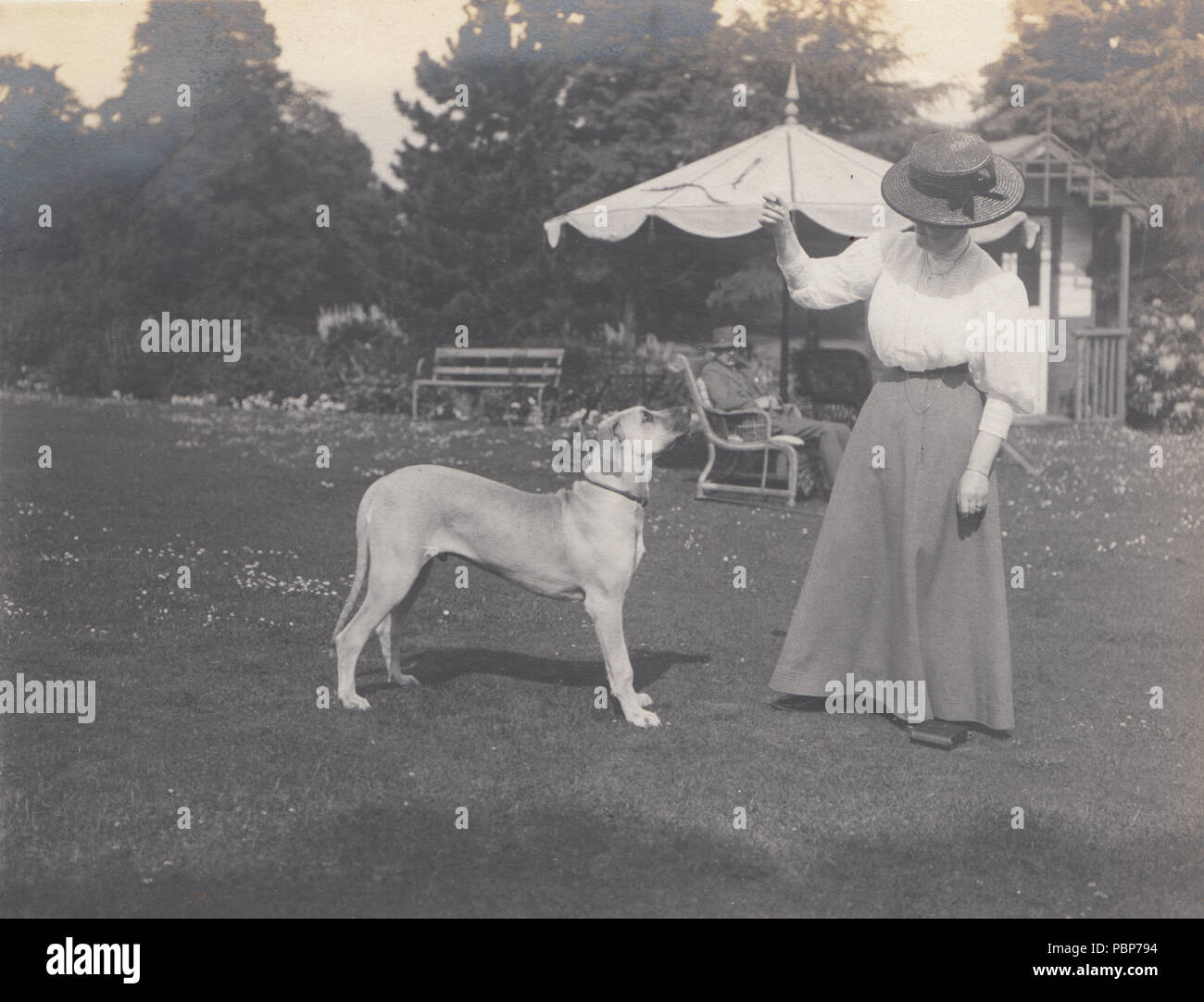 Viktorianische/Edwardian Foto einer Dame Training mit Ihrem Hund in einem großen Garten Stockfoto