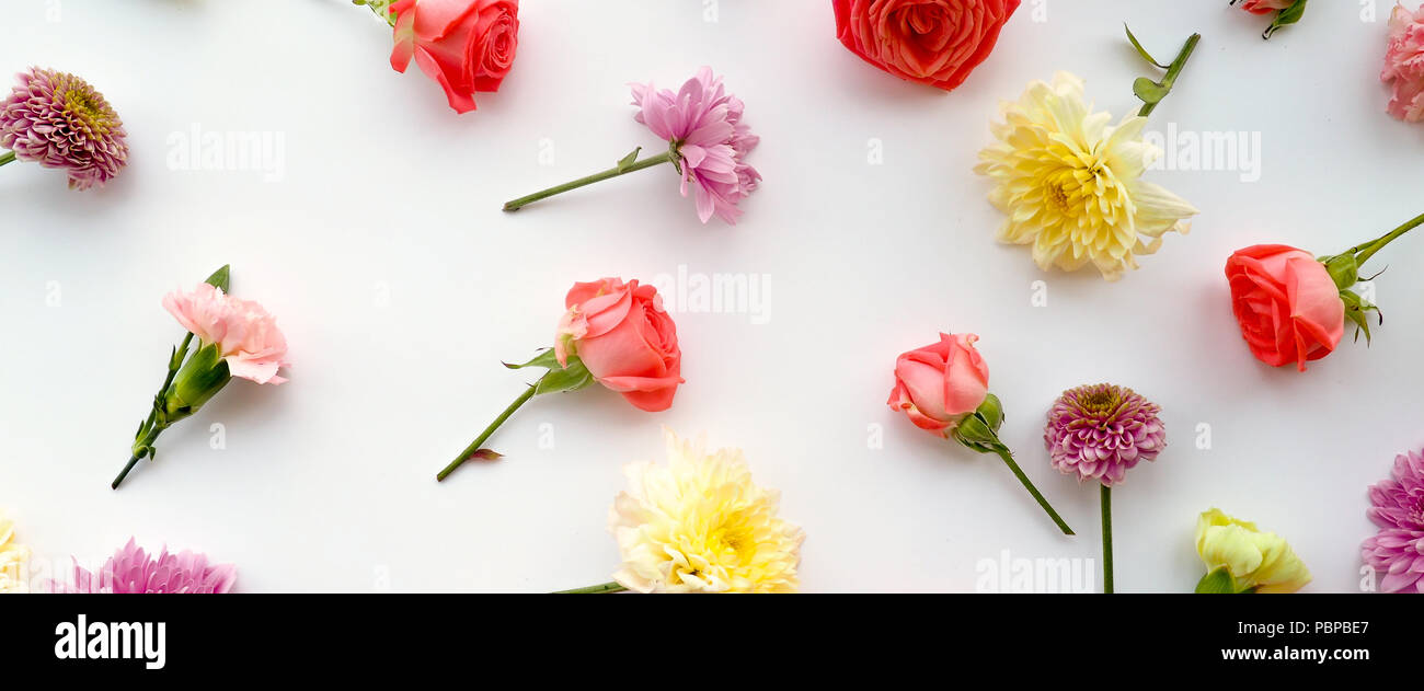 Blumen-Komposition. Gestell aus getrockneten Rosenblüten auf weißem Hintergrund. Flach legen, Top Aussicht. Stockfoto