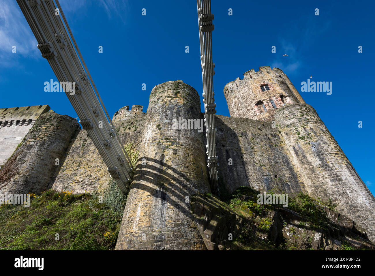 Anzeigen von Conwy Castle vom Ende der berühmten Hängebrücke, Conwy, North Wales, UK. Stockfoto