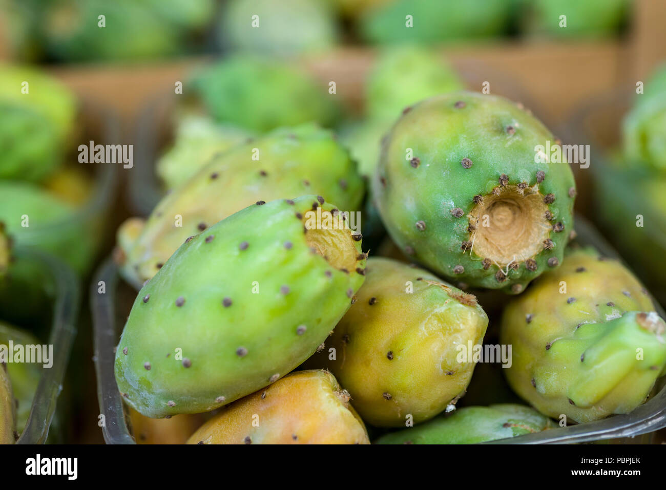 Kaktusfrüchte im Markt Stockfoto