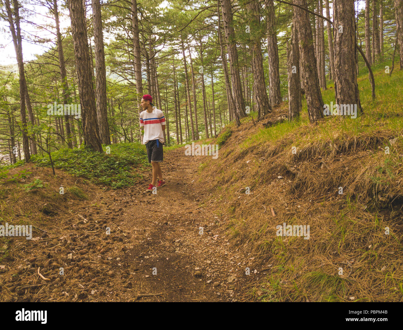 Junge einsamer Mann zu Fuß und im Wald verloren, unheimlich und verwirrt Stockfoto