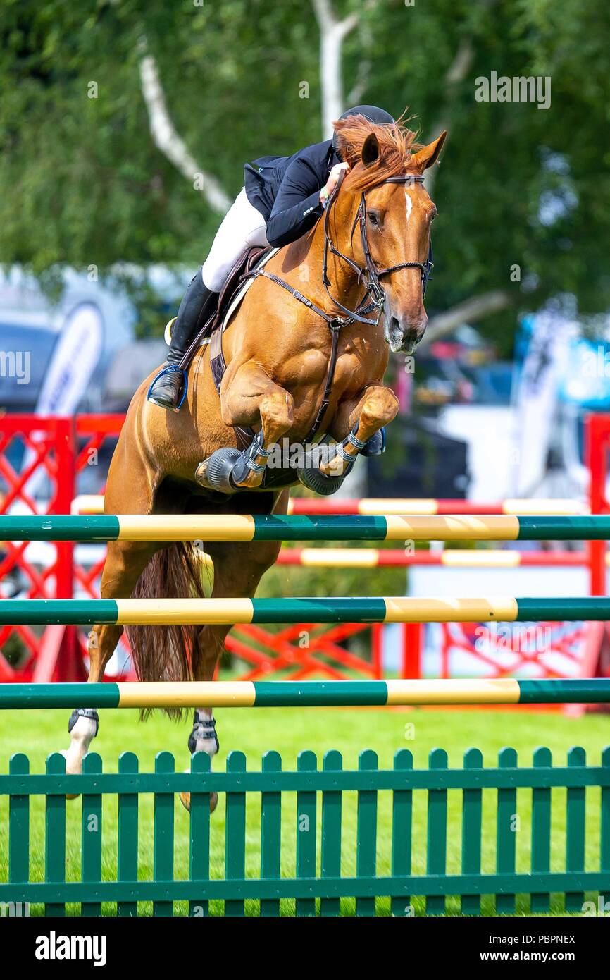 Sieger. James Whitaker reiten Glenavadra Brillant. GBR. Die BHS-Königin ll Cup. Springen. Longines FEI Jumping Nations Cup von Großbritannien an der BHS Royal International Horse Show. Alle England Parcours. Hickstead. Großbritannien. 28.07.2018. Stockfoto