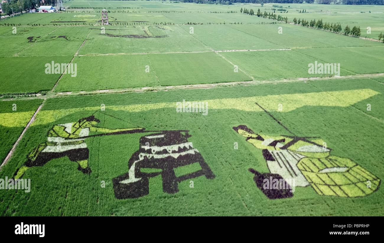 (180729) -- SHOUXIAN, 29. Juli 2018 (Xinhua) - Foto am Juli 29, 2018 zeigt Reisfeld kunst Bilder in Shouxian County, im Osten der chinesischen Provinz Anhui. (Xinhua / Zhang Duan) (and) Stockfoto