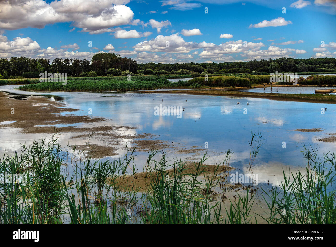 Rutland Water Oakham 28. Juli 2018: durchwachsenes Wetter condistion für Vogelbeobachter am Naturschutzgebiet Blauer Himmel Reflexionen Windschäden an nesting Plattformen und eine Mischung aus Vögeln. Clifford Norton Alamy Leben Nachrichten. Stockfoto