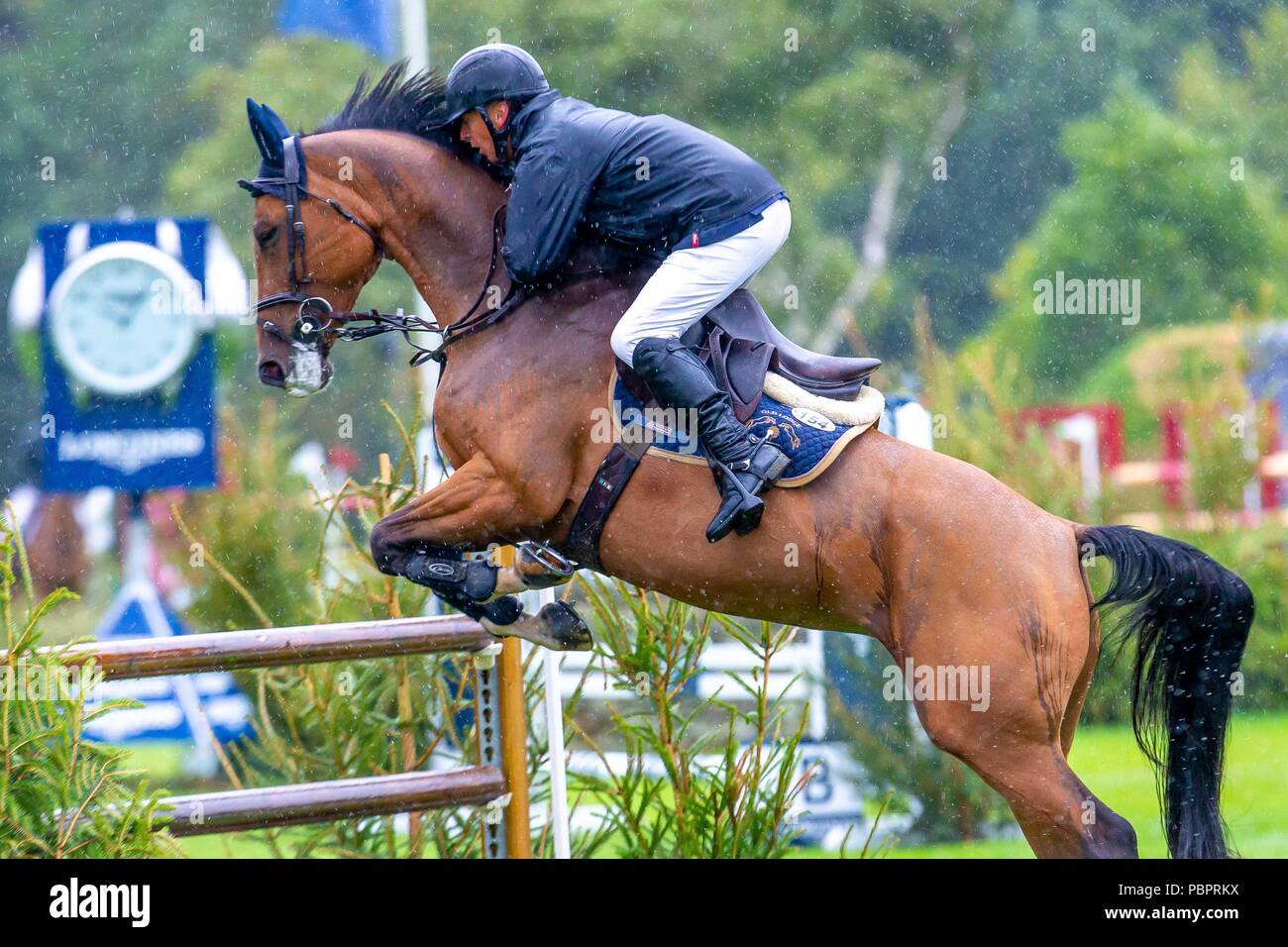 Platz 8. Mark Armstrong reiten Juharah. GBR. Die alten Lodge International 7 & 8 Jahr alten Meisterschaft. Springen. Longines FEI Jumping Nations Cup von Großbritannien an der BHS Royal International Horse Show. Alle England Parcours. Hickstead. Großbritannien. 29/07/2018. Stockfoto