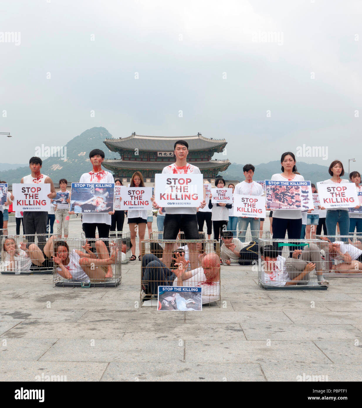 Animal advocacy Campaign, 28. Juli 2018: Mitglieder eines Tieres Befürwortung Gruppe während einer Kampagne gegen Hund Fleisch in Seoul, Südkorea. Hunde war für Fleisch als Delikatesse im Sommer wie Ginseng Hühnersuppe typischerweise während der Bok-Nal Sommer in Korea geschlachtet. Die Praxis in den letzten Jahrzehnten nachgelassen hat trotz starker Einwand zu Töten von Hunden für Fleisch, aber Tierschutz Gruppen tausende von Hunden Anspruch jeden Tag geschlachtet werden, lokale Medien berichtet. Quelle: Lee Jae-Won/LBA/Alamy leben Nachrichten Stockfoto