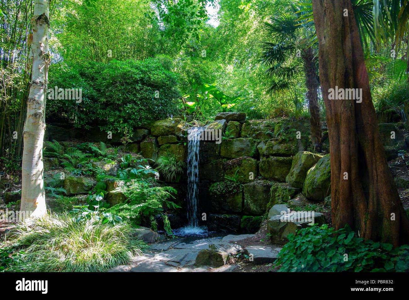 Wasserfall, der über die Blockwand der rhs rosemoor stürzt Stockfoto