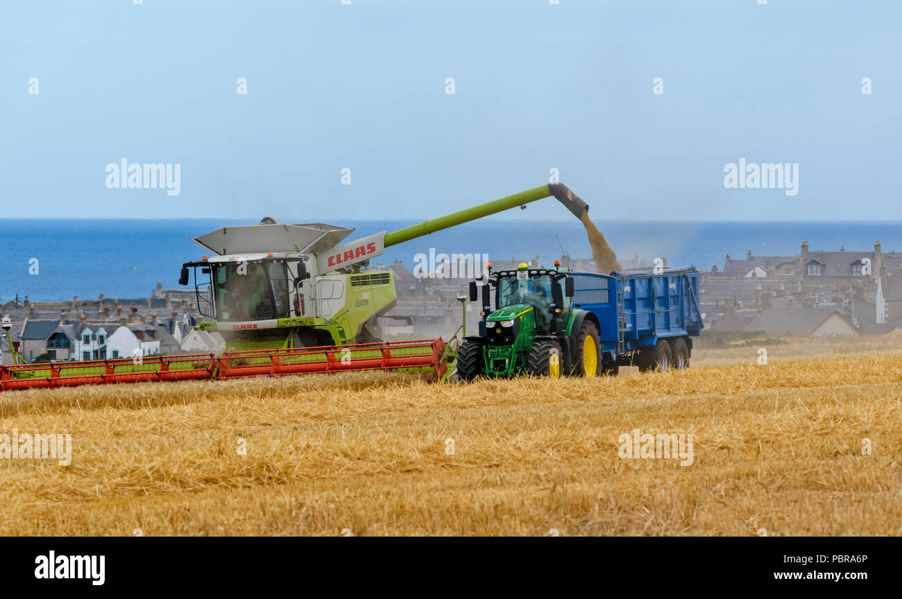 Mähdrescher erstellen Wolken von Staub auf einem GERSTENFELD MIT BLICK AUF PORTKNOCKIE und Moray Firth SCHOTTLAND Stockfoto