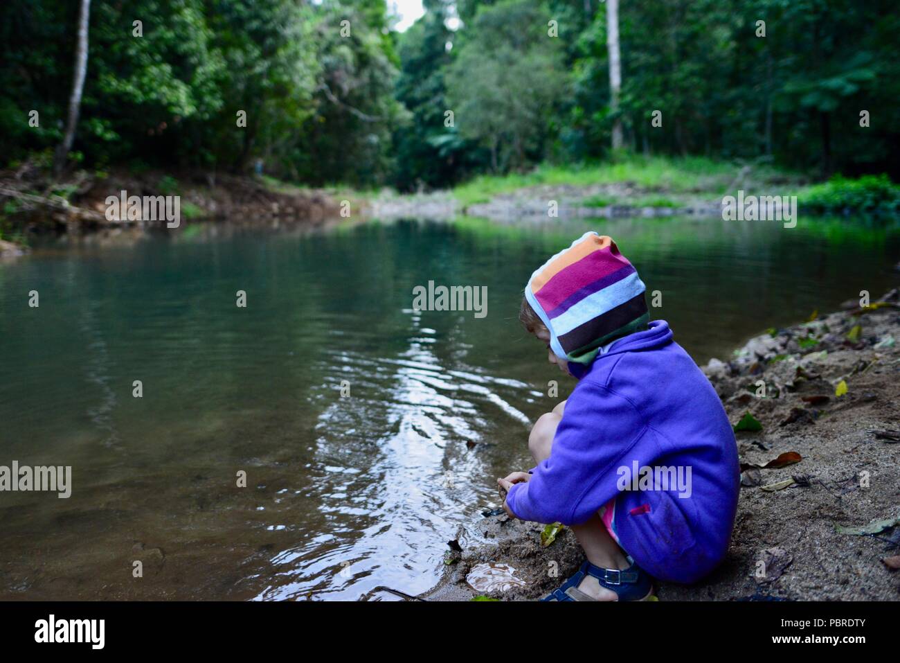 Atherton Tablelands, QLD, Australien Stockfoto