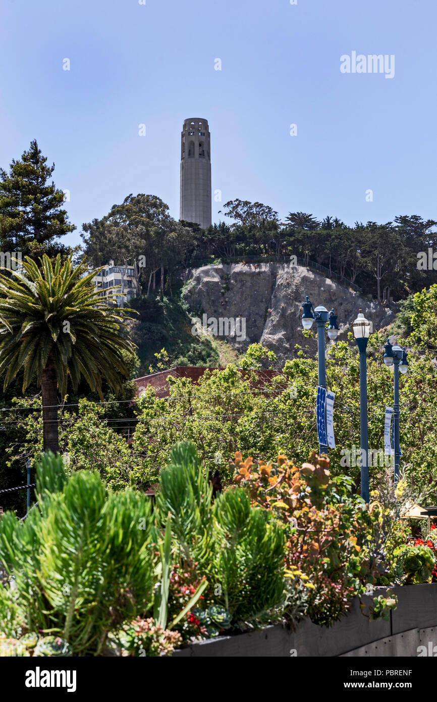 Coit Tower, San Francisco, Kalifornien, Vereinigte Staaten von Amerika, Freitag, Juni 01, 2018. Stockfoto