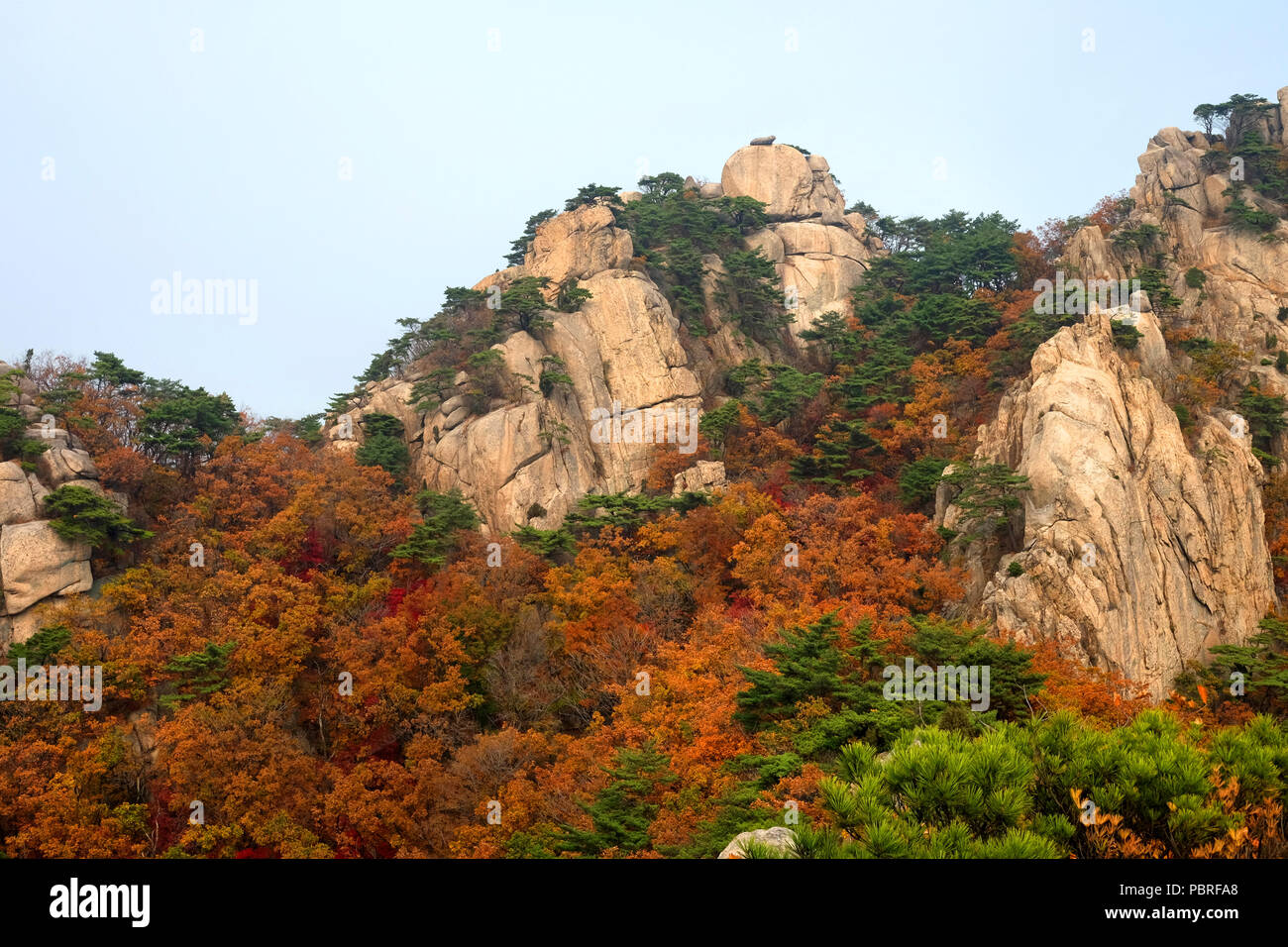 Herbst Wald Berge in Südkorea Hintergrund Stockfoto