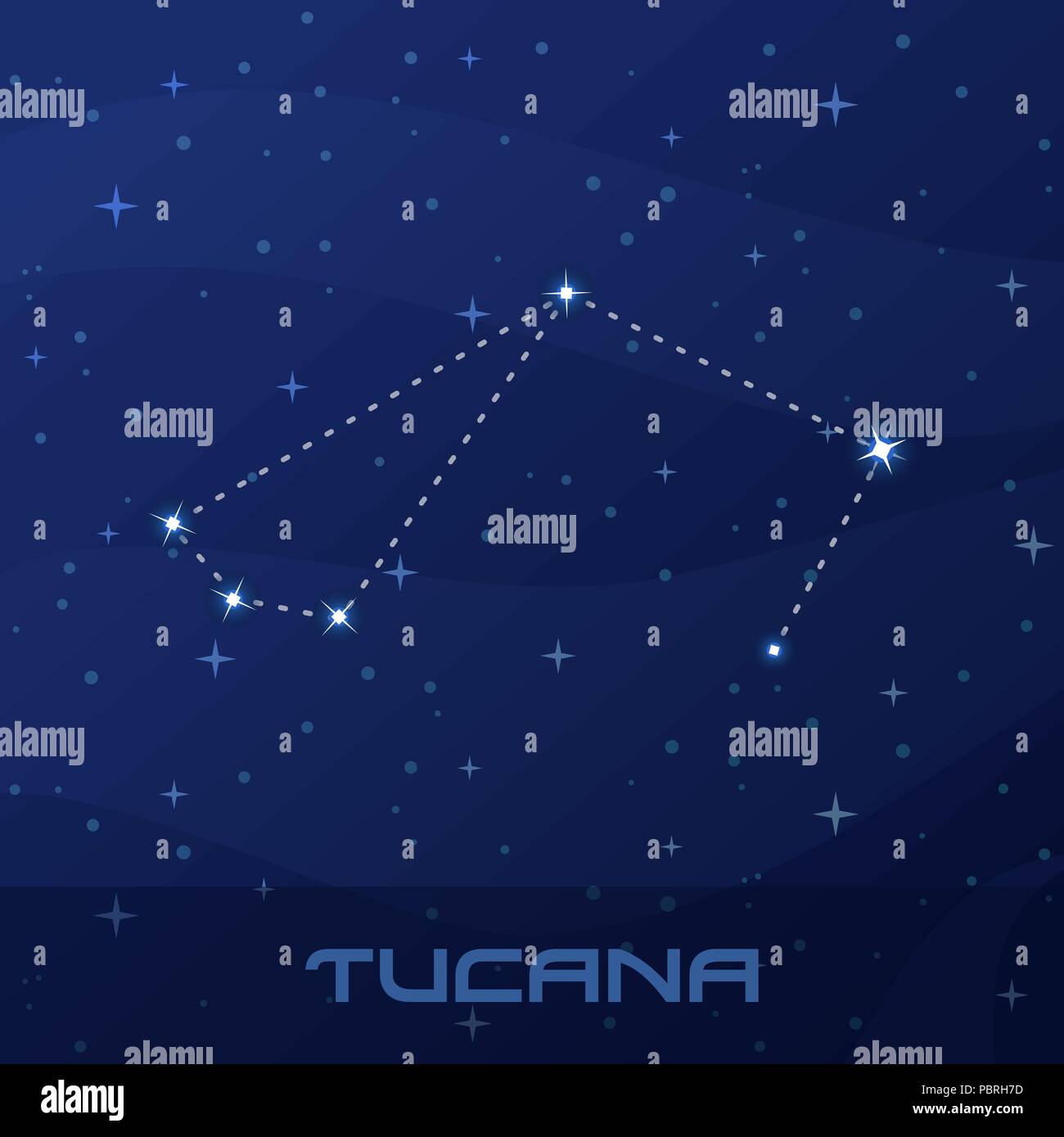 Sternbild Tucana, Toucan, Night Star Sky Stock Vektor