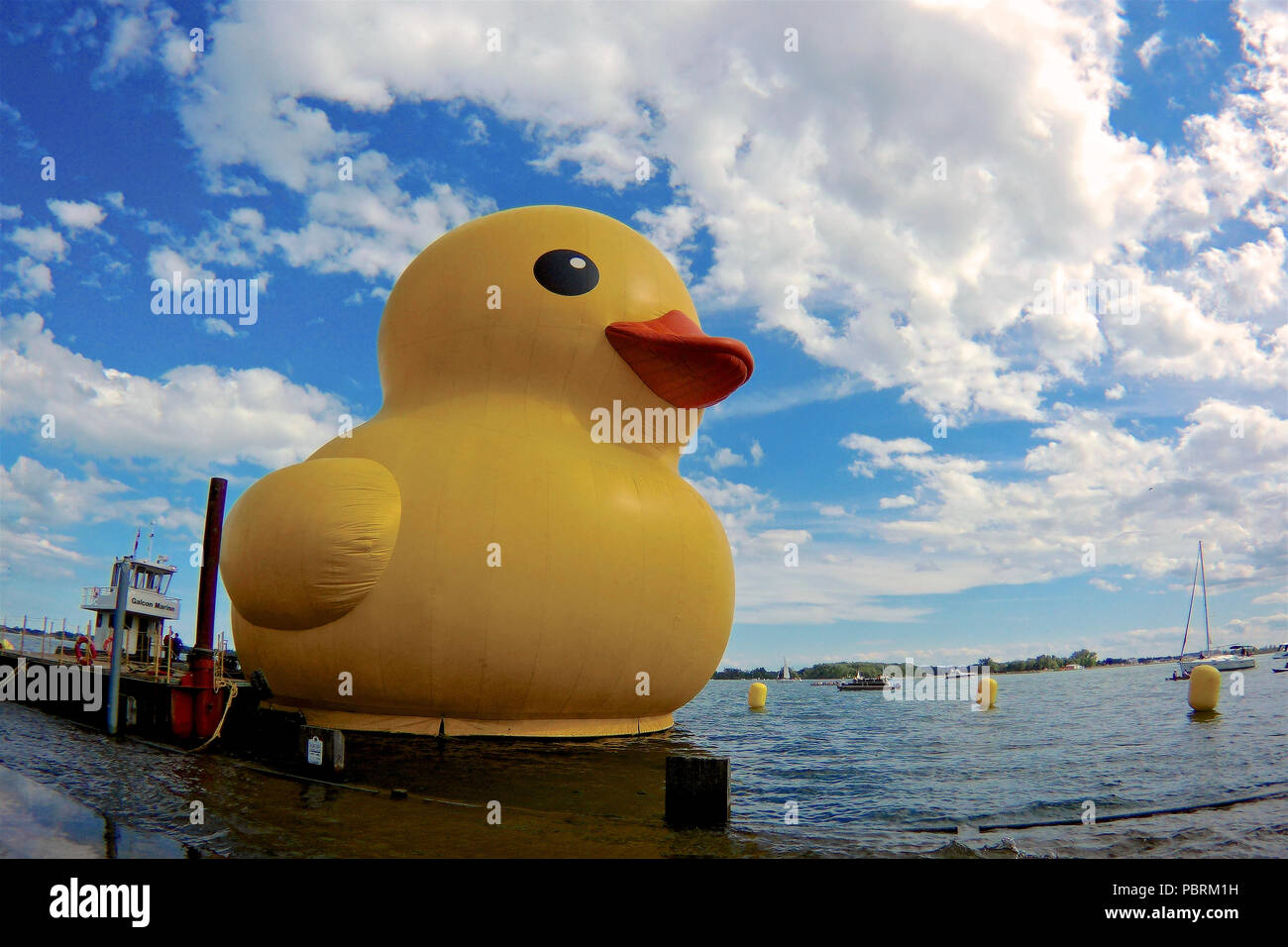 Gelbe Ente im HTO Park in Toronto Stockfoto
