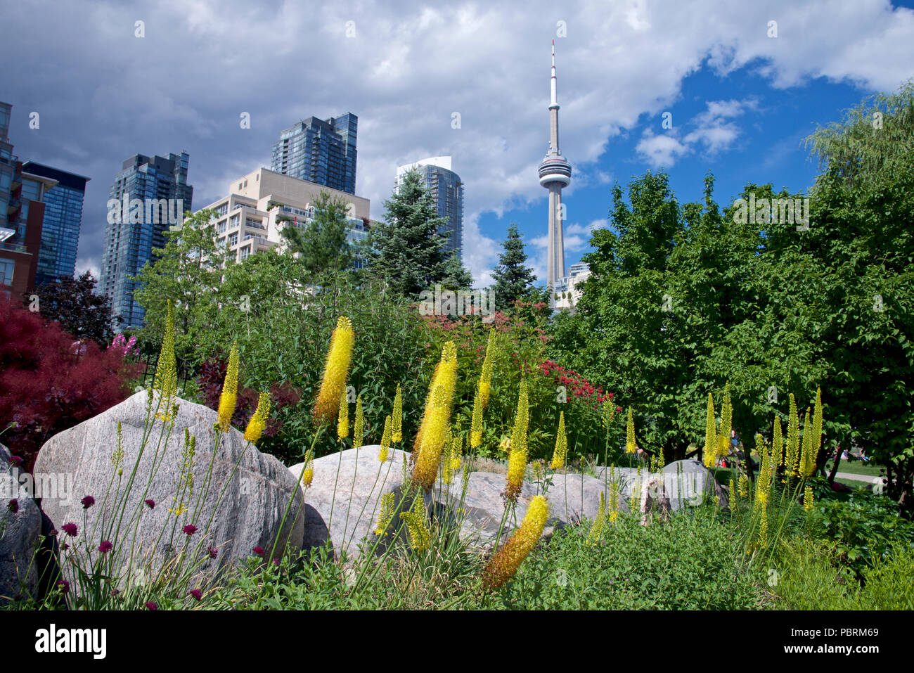 Torontos Skyline mit urbaner Architektur Gebäude und Garten Stockfoto