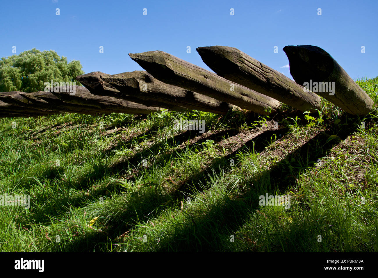 Hölzerne Säule als Verteidigung im Fort York Stockfoto