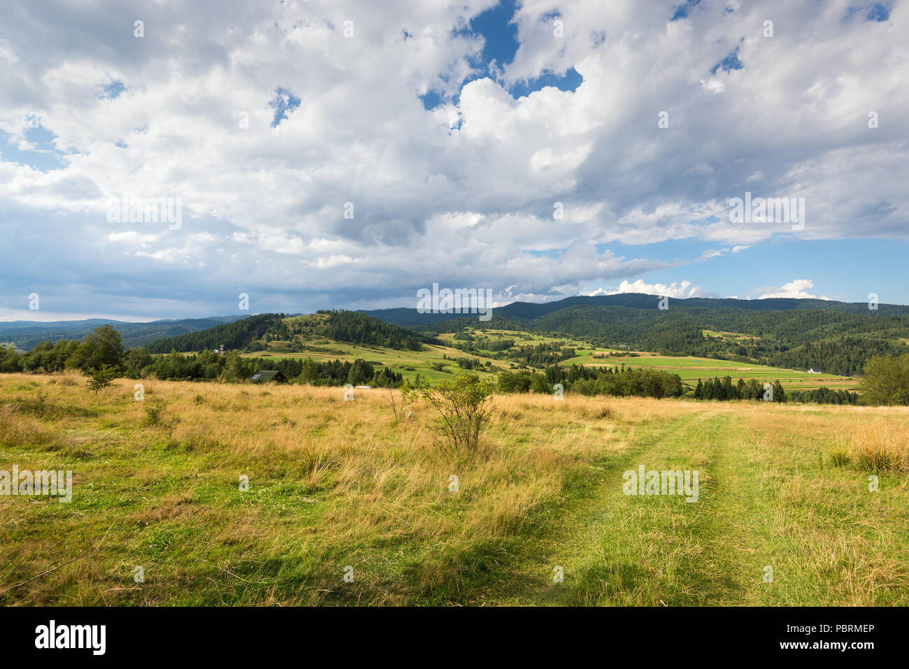 Ländliche Landschaft. Felder, die Berge und die Wolken am Himmel. Nationalpark Pieniny. Malopolska, Polen. Stockfoto