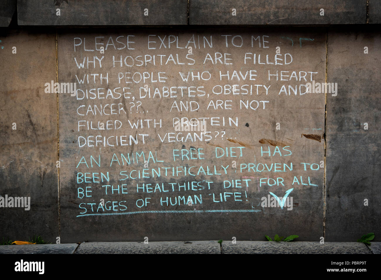Vegan Graffiti an einer Wand auf dem Damm in Edinburgh, Schottland, Großbritannien. Stockfoto
