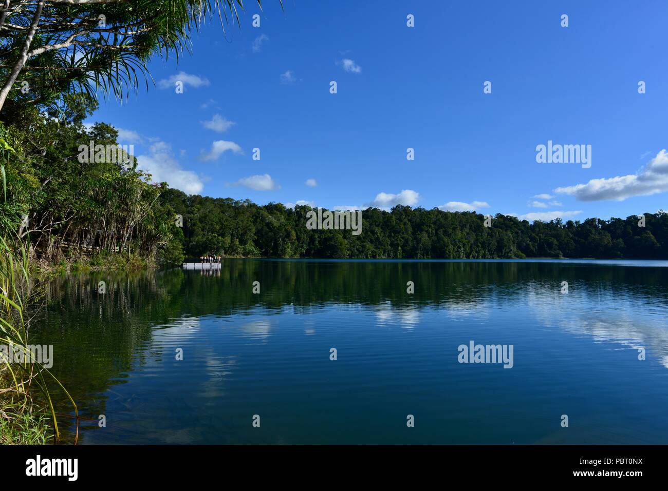 Lake Eacham, Kraterseen Nationalpark, Atherton Tablelands, QLD, Australien Stockfoto