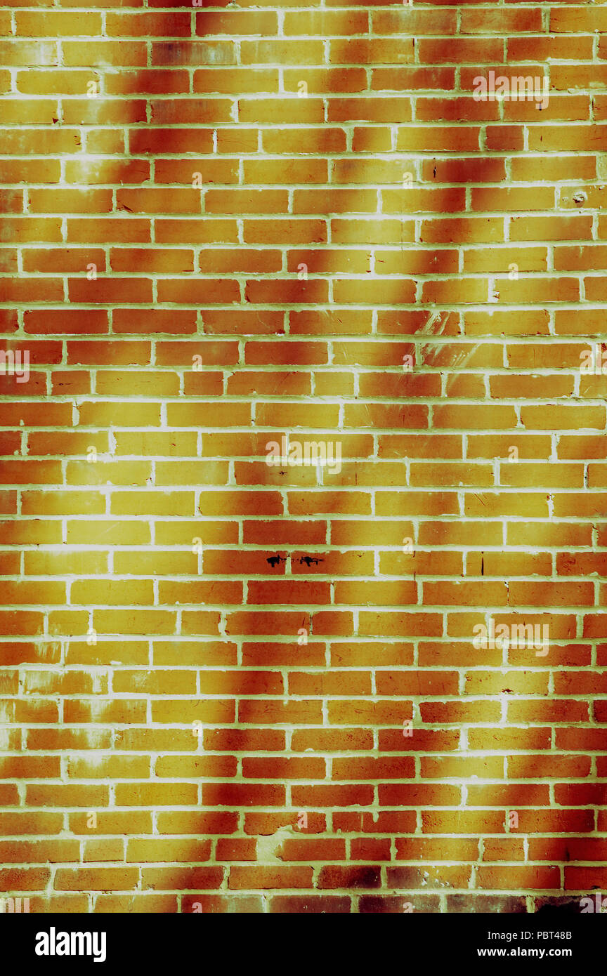 Brick Wall mit dappled Lichtmuster aus in der Nähe von Bäumen. Stockfoto