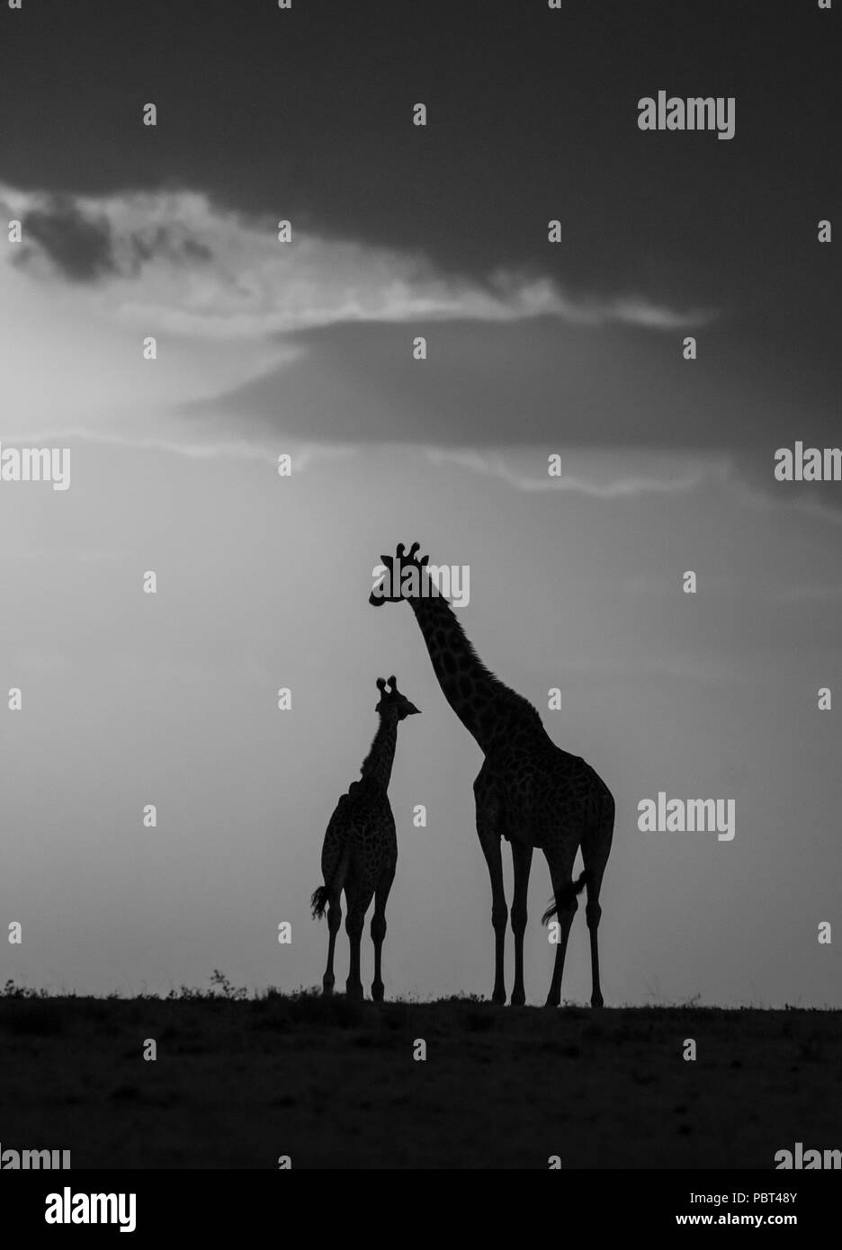 Mammas Boy/girl Stockfoto