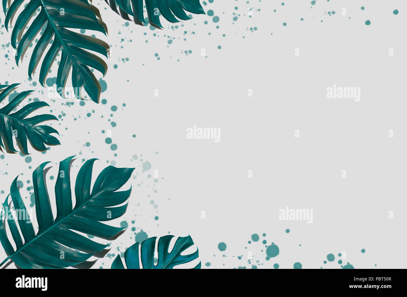 Concept Art minimalen Hintergrund Design lässt Monster blauen Tropischen und Blätter in lebendigen bold Gradient trendy Sommer tropische Blätter Design Stockfoto