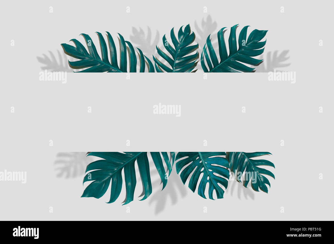 Concept Art minimalen Hintergrund Design lässt Monster blauen Tropischen und Blätter in lebendigen bold Gradient trendy Sommer tropische Blätter Design Stockfoto