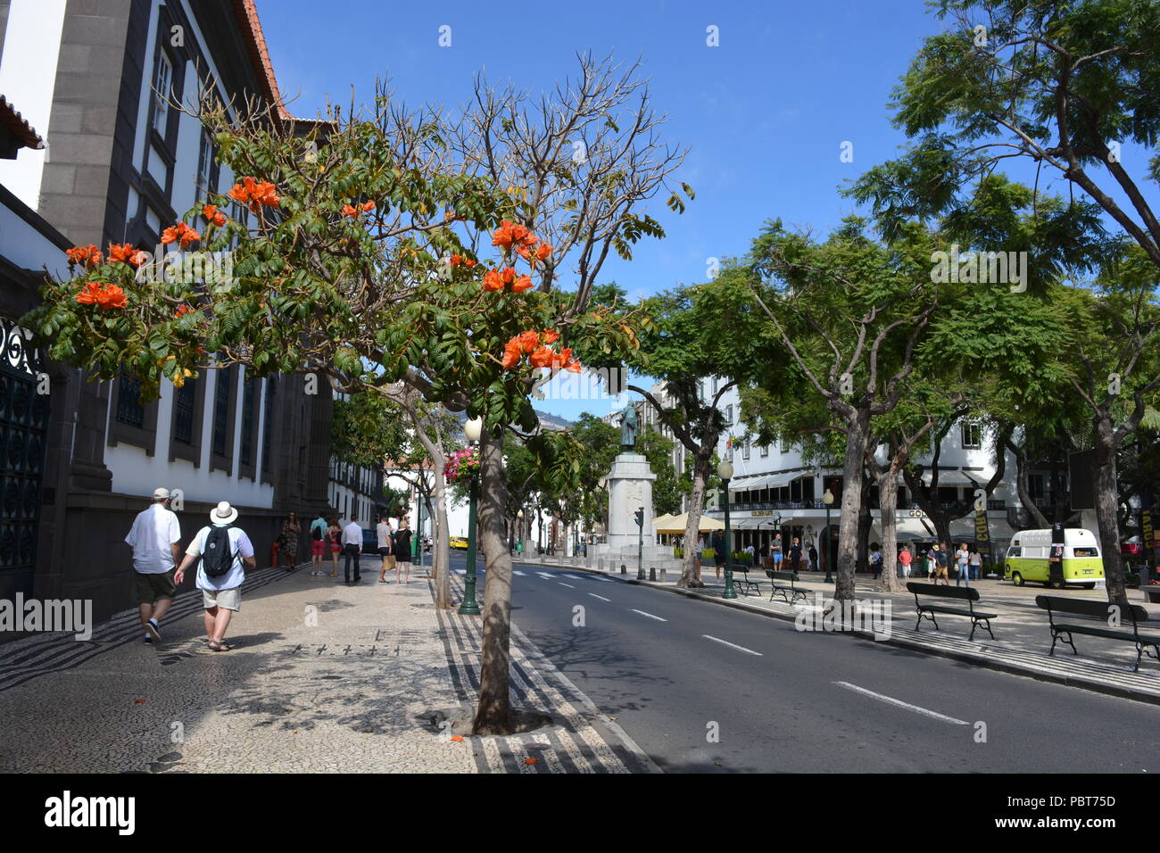 Von Bäumen gesäumten Straße Avenida Arriaga mit Menschen zu Fuß auf dem Bürgersteig, Funchal, Madeira, Portugal Stockfoto