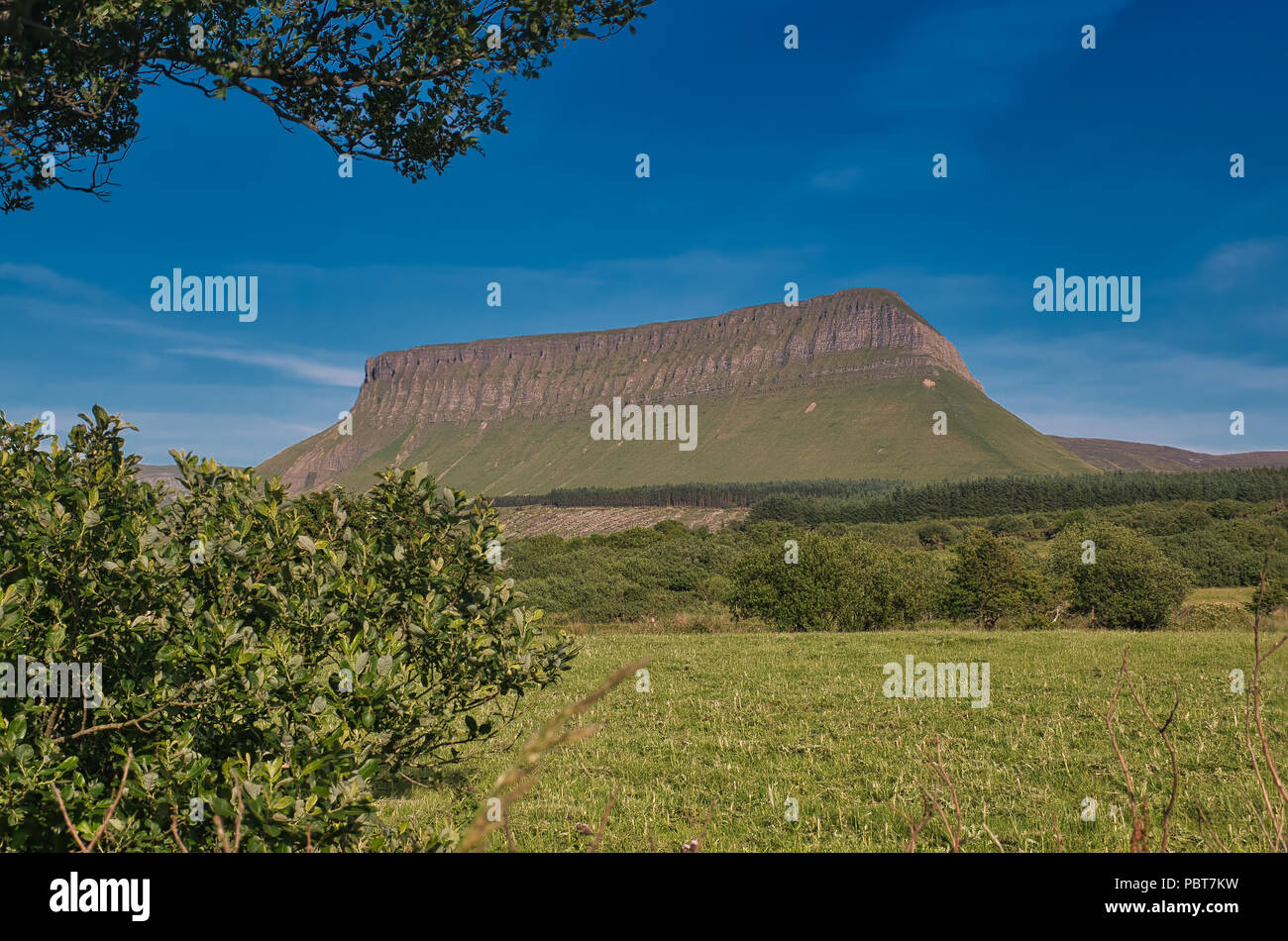 Die imposanten Tafelberg Ben Bulben in Irland bei schönem Wetter mit Wiese im Vordergrund. Stockfoto