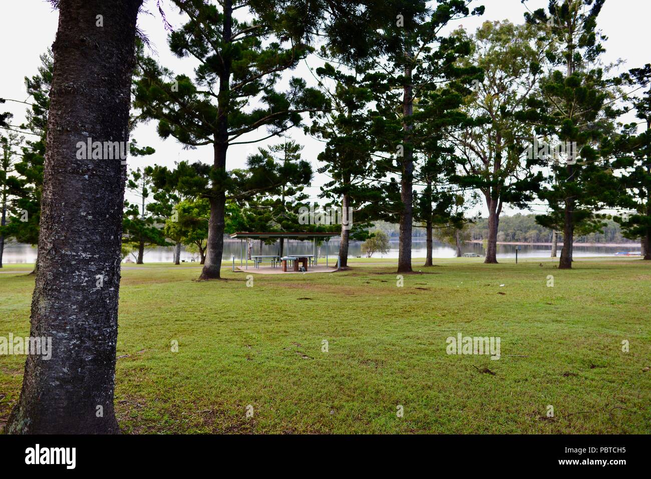 Ein Grill und Holz- Picknick Tisch und Bank am Lake Tinaroo, Atherton Tablelands, QLD, Australien Stockfoto