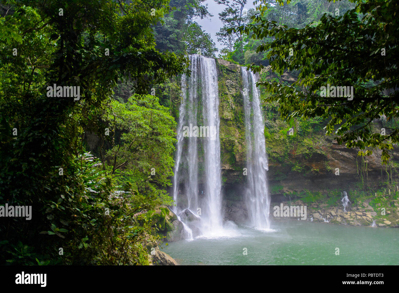 Cascada de Misol-Ha, einen Wasserfall in der Gemeinde Salto de Agua, Chiapas, Mexiko Stockfoto