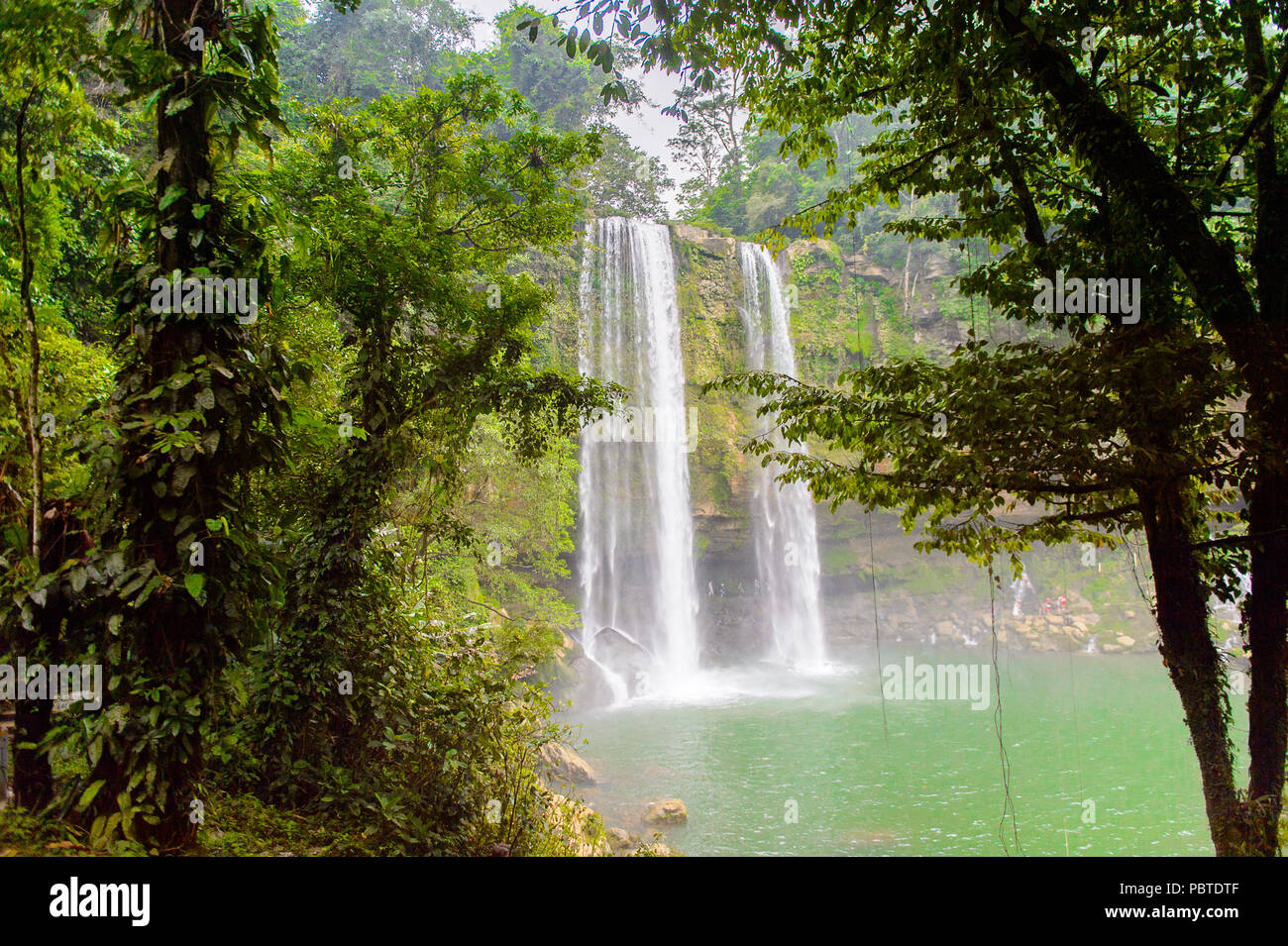 Cascada de Misol-Ha, einen Wasserfall in der Gemeinde Salto de Agua, Chiapas, Mexiko Stockfoto