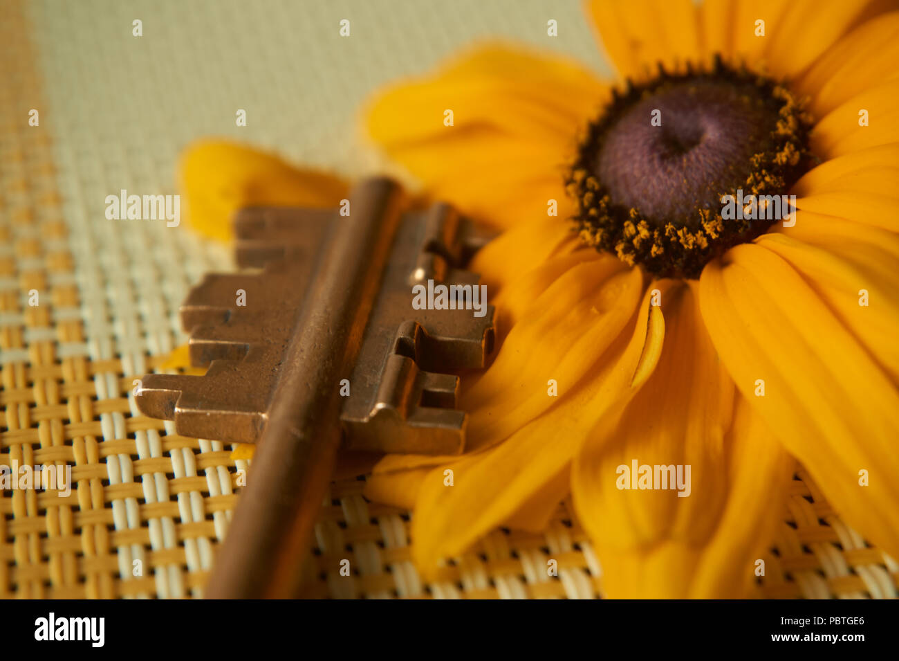 Ende einer Messing Sicherheitsschlüssel und gelbe Sonnenblumen liegen auf einem gewebt Bettwäsche textile in der Nähe zu konzeptionellen anzeigen. Selektiver Fokus und kostenlose Kopie. Stockfoto