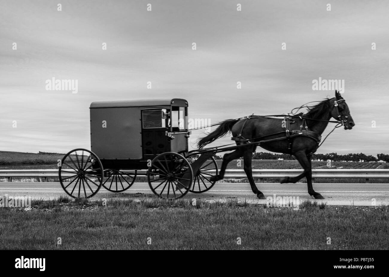 Einen Einblick in die traditionellen Amish Lifestyle in Lancaster