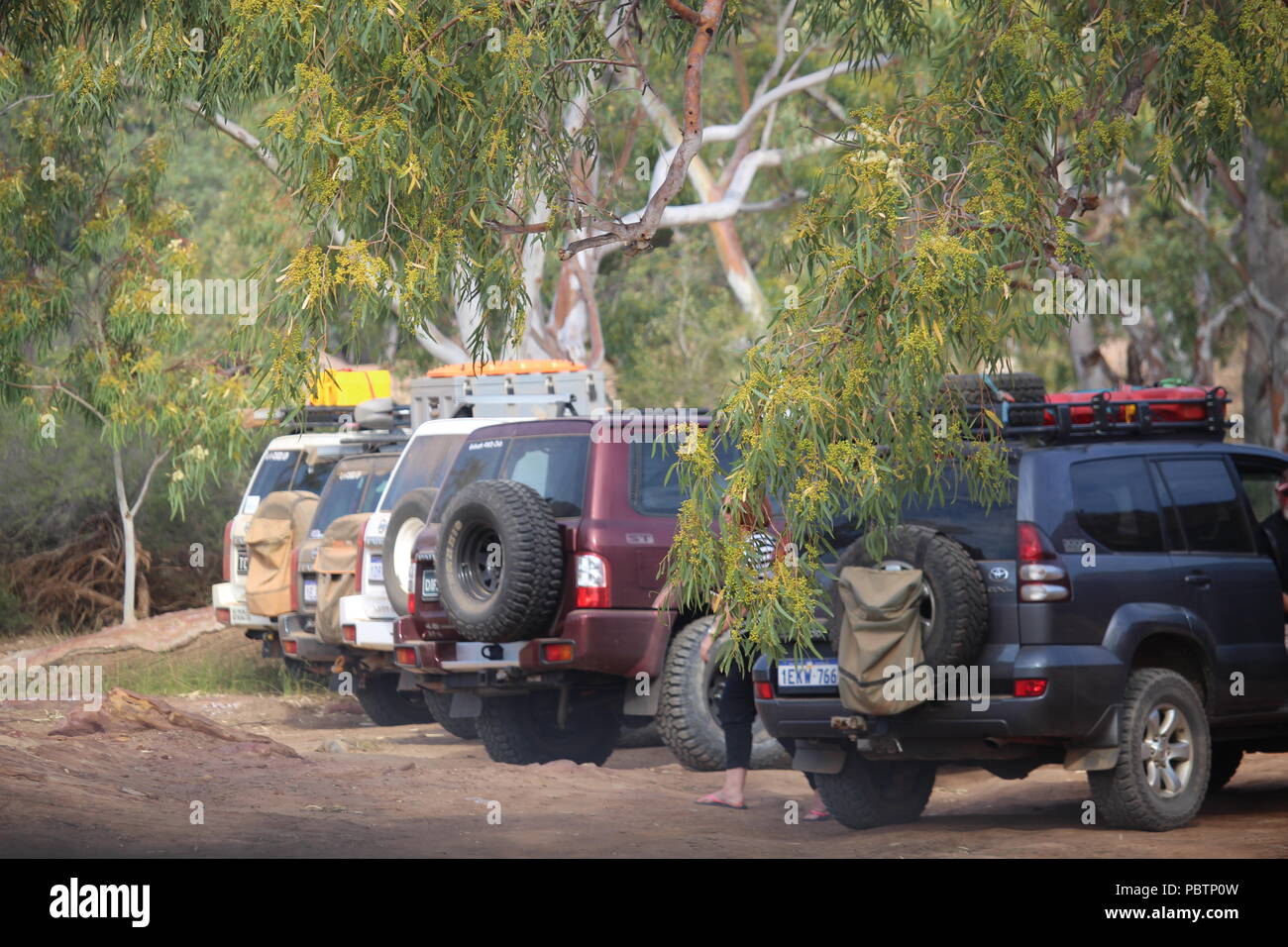 4 rad fahren in Western Australian Outback Stockfoto