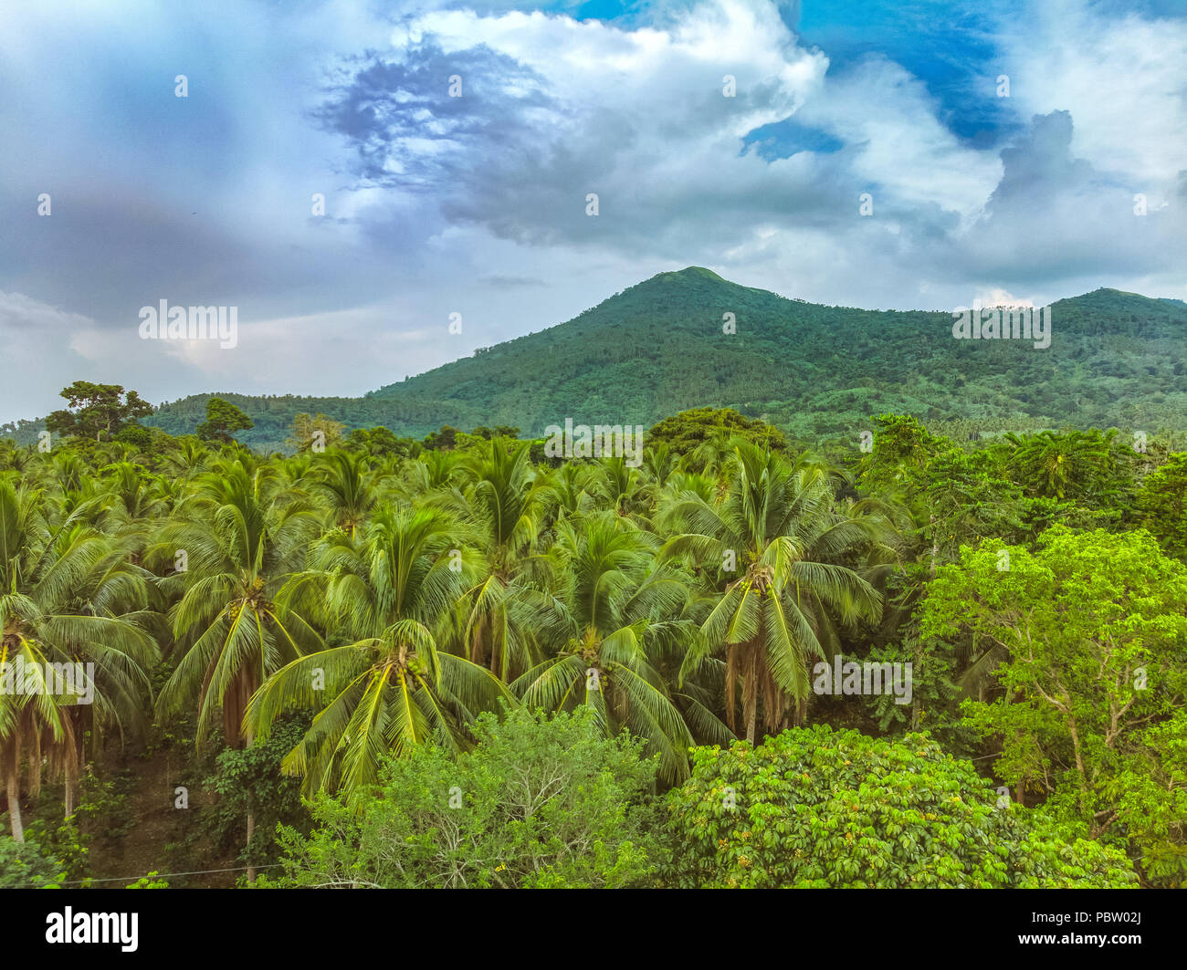 Kokospalmen und die Berge rund um den See Mohicap, San Pablo, Laguna, Philippinen Stockfoto