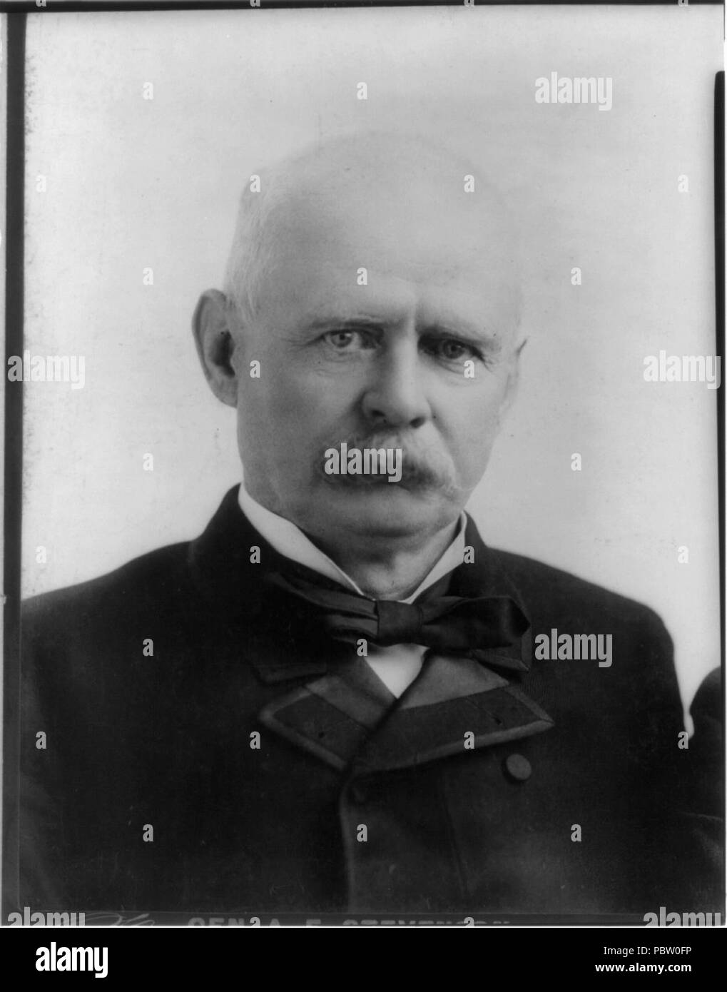 Adlai Ewing Stevenson, 1835-1914, Kopf und Schultern hoch, nach rechts Stockfoto