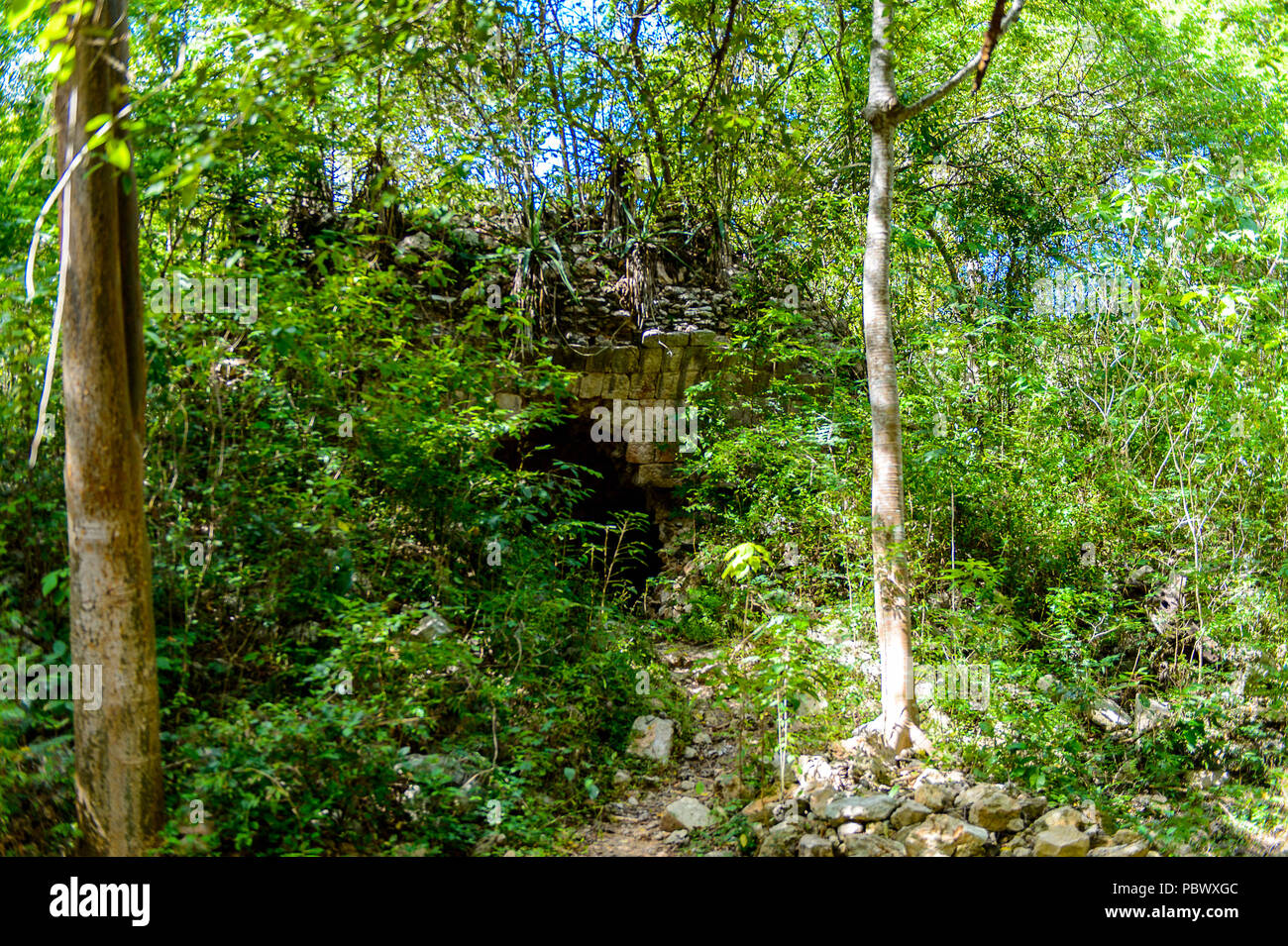 Dschungel von Uxmal, einer alten Maya Stadt der Klassischen Periode. Eine der wichtigsten archäologischen Stätten der Maya Kultur. UNESCO-Welterbe s Stockfoto