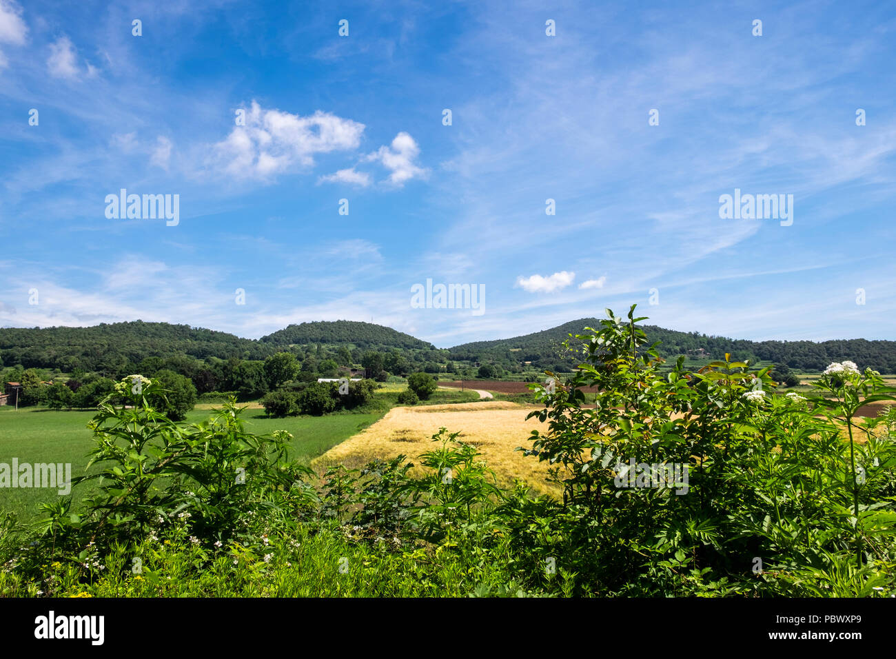 Ackerflächen mit Ernten von Getreide bewirtschaftet von der volca croscat Vulkan in der Garrotxa Zone, Katalonien, Spanien Stockfoto